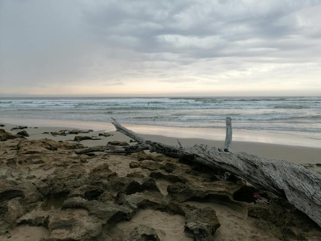 gorm the witchfinder: fracture.