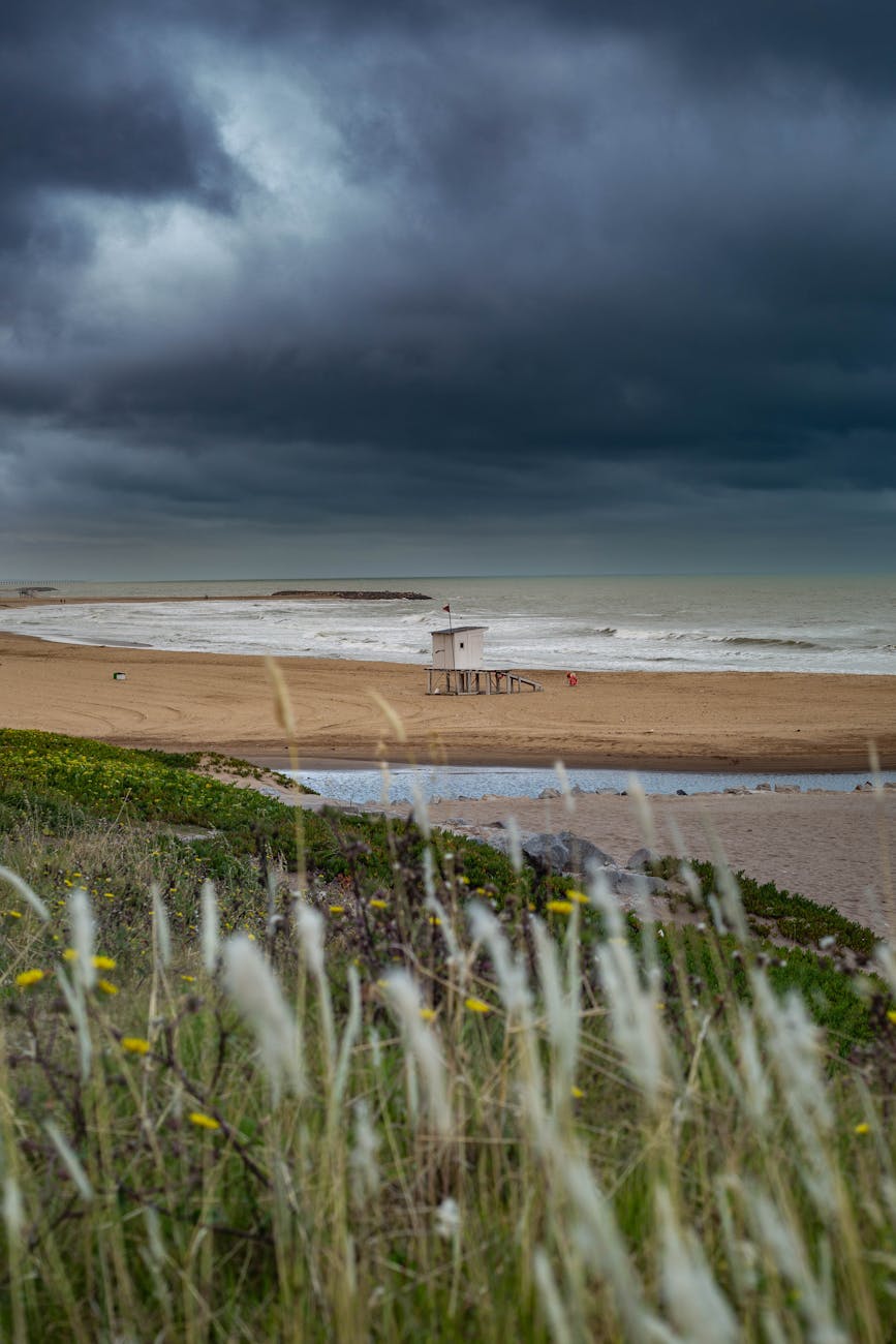 mortimer graves and the witchfinder’s sister.